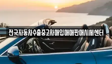 경기도 시흥시 하중동 중고차 전문 전국자동차수출중고차매입매매판매시세센터