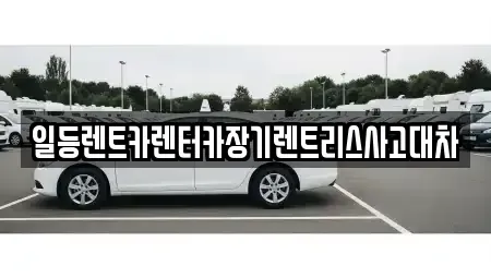 경기도 의왕시 장기렌트카 전문 일등렌트카렌터카장기렌트리스사고대차