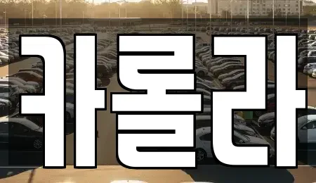 경기도 의왕시 중고차 전문 카롤라