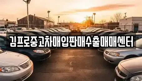 경상남도 진주시 칠암동 중고차매입 전문 김프로중고차매입판매수출매매센터