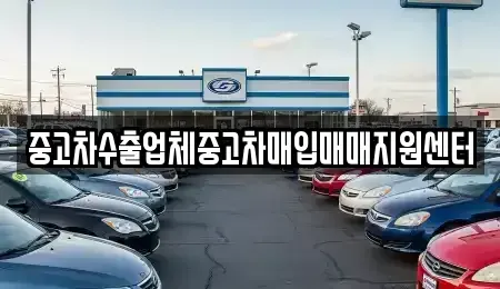 경상남도 진주시 칠암동 중고차매입 전문 중고차수출업체중고차매입매매지원센터