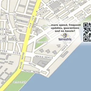 경상남도 창원시 마산합포구 장군동5가 중고차 전국중고차매매-중고차수출,사고노후차매입 위치