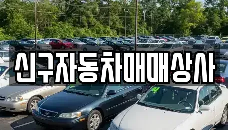 경상남도 창원시 마산합포구 장군동5가 중고차 전문 신구자동차매매상사