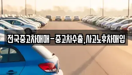 경상남도 창원시 마산합포구 장군동5가 중고차 전문 전국중고차매매-중고차수출,사고노후차매입