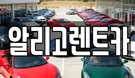광주 서구 장기렌트카,중고차,렌트카,단기렌트카,중고차매입,중고차매매