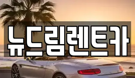 광주광역시 광산구 수완동 렌트카 전문 뉴드림렌트카