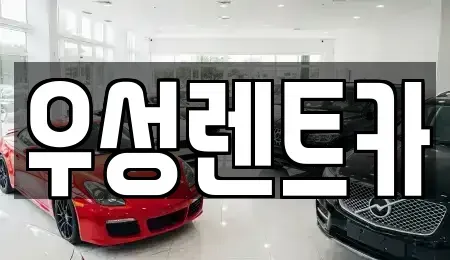광주광역시 광산구 수완동 장기렌트카 전문 우성렌트카