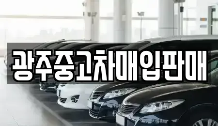 광주광역시 광산구 수완동 중고차매매 전문 광주중고차매입판매