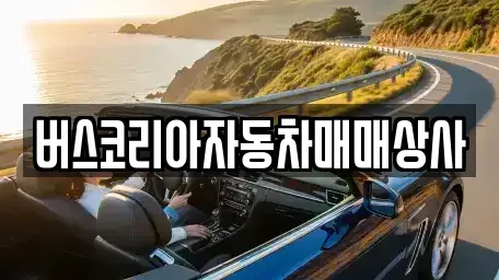 광주광역시 광산구 수완동 중고차매매,단기렌트카,중고차매입,장기렌트카,중고차,렌트카