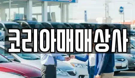 광주광역시 광산구 수완동 중고차매매 전문 코리아매매상사