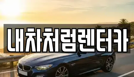 대구광역시 중구 동성로1가 렌트카 전문 내차처럼렌터카