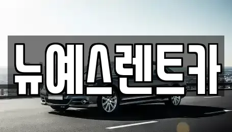 대구광역시 중구 동성로1가 렌트카 전문 뉴예스렌트카