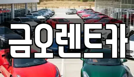 대구광역시 중구 동성로1가 장기렌트카 전문 금오렌트카