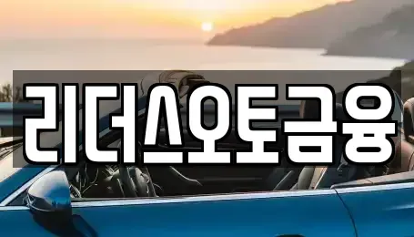 대구광역시 중구 동성로1가 장기렌트카 전문 리더스오토금융