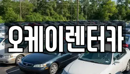 대전 대덕구 용호동 렌트카 전문 오케이렌터카