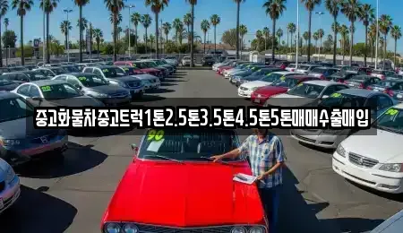 대전 대덕구 용호동 중고차매입 전문 중고화물차중고트럭1톤2.5톤3.5톤4.5톤5톤매매수출매입