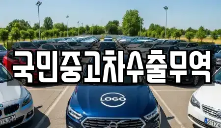 대전 동구 소호동 중고차 전문 국민중고차수출무역