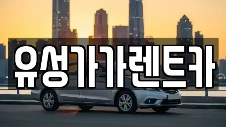대전광역시 유성구 도룡동 렌트카 전문 유성가가렌트카