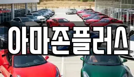 부산광역시 남구 장기렌트카 전문 아마존플러스