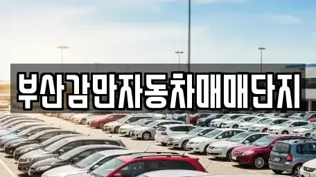 부산광역시 남구 중고차 전문 부산감만자동차매매단지