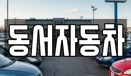 부산광역시 사상구 학장동 중고차 전문 동서자동차