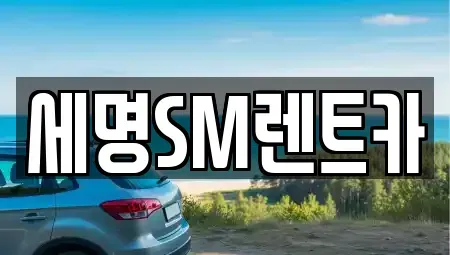 부산광역시 중구 중앙동7가 렌트카 전문 세명SM렌트카