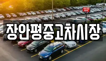 서울 도봉구 도봉동 중고차 전문 장안평중고차시장