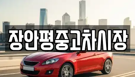 서울 영등포구 양화동 중고차 전문 장안평중고차시장