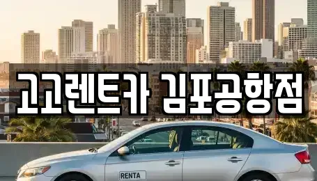 서울특별시 강서구 오곡동 렌트카 전문 고고렌트카 김포공항점