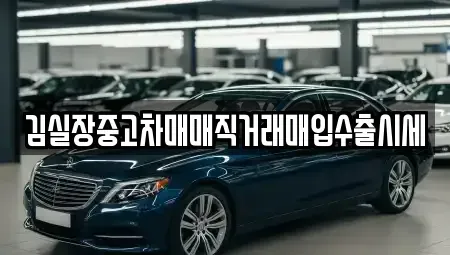 서울특별시 강서구 오곡동 중고차 전문 김실장중고차매매직거래매입수출시세