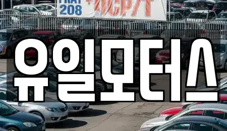 인천광역시 미추홀구 중고차 전문 유일모터스