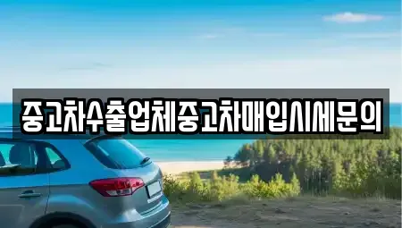 인천광역시 미추홀구 중고차매입 전문 중고차수출업체중고차매입시세문의