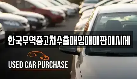 전남 여수시 학동 중고차매입 전문 한국무역중고차수출매입매매판매시세