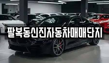 전북 전주시 덕진구 중고차매매 전문 팔복동신진자동차매매단지