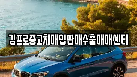 전북 전주시 덕진구 중고차매입 전문 김프로중고차매입판매수출매매센터