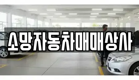 전북 전주시 완산구 상림동 중고차 전문 소망자동차매매상사