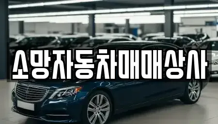 전북 전주시 완산구 용복동 중고차 전문 소망자동차매매상사