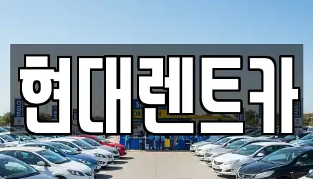 전북특별자치도 군산시 금암동 렌트카 전문 현대렌트카