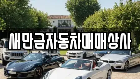 전북특별자치도 군산시 금암동 중고차 전문 새만금자동차매매상사