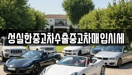 전북특별자치도 군산시 금암동 중고차매입 전문 성실한중고차수출중고차매입시세