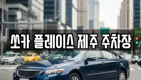 제주특별자치도 제주시 구좌읍 렌트카 전문 쏘카 플레이스 제주 주차장