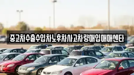 제주특별자치도 제주시 구좌읍 중고차 전문 중고차수출수입차노후차사고차량매입매매센타