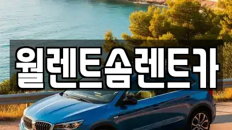 충남 예산군 고덕면 렌트카 전문 월렌트솜렌트카