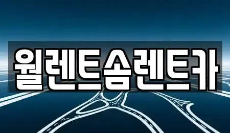 충남 천안시 서북구 쌍용동 렌트카 전문 월렌트솜렌트카