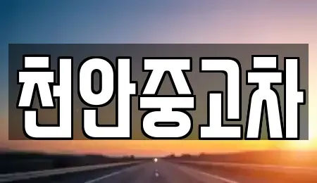 충남 천안시 서북구 쌍용동 중고차 전문 천안중고차