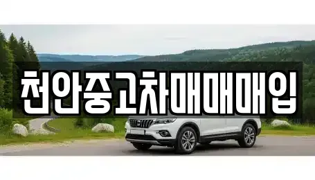 충남 천안시 서북구 쌍용동 중고차 전문 천안중고차매매매입