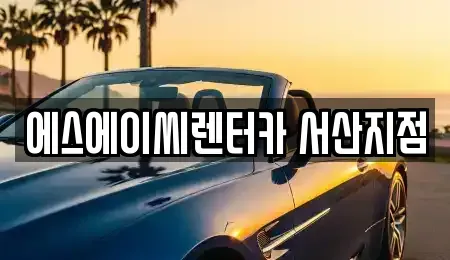 충청남도 서산시 석림동 장기렌트카 전문 에스에이씨렌터카 서산지점