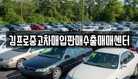 충청남도 서산시 석림동 중고차매입 전문 김프로중고차매입판매수출매매센터